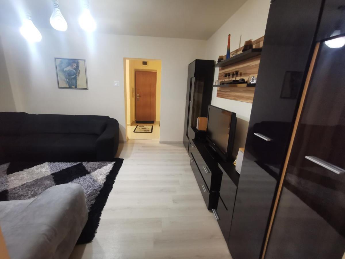 Gura Humorului Apartament Lux Confort エクステリア 写真
